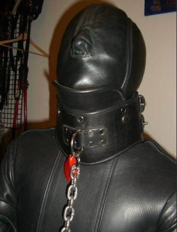 strappedown:  Listen up…I know that pecker gag is held pretty snug in your mouth by that hood, so you won’t be able to say much back to me…just nod yes or no…oh yeah…you can’t really move your head with that stiff posture collar strapped on