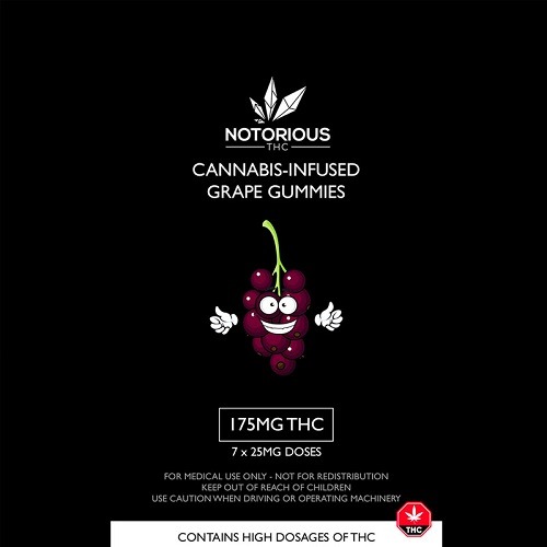 Notorious THC – Grape Gummies (175MG THC)
15.00 CA$
See more : https://dispensarynearmenow.co/shop/notorious-thc-grape-gummies-175mg-thc/
Classic favorite the Sour Grapes are now available. A classic treat that you can now enjoy as an infused edible....