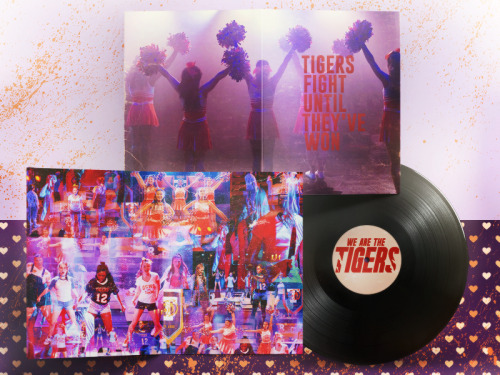 sailforalittle:we are the tigers vinyl concept