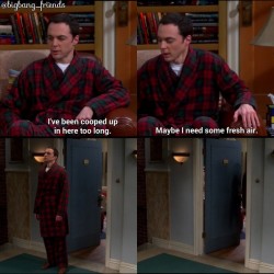sheldoncooperfanatics:  The Big Bang Theory