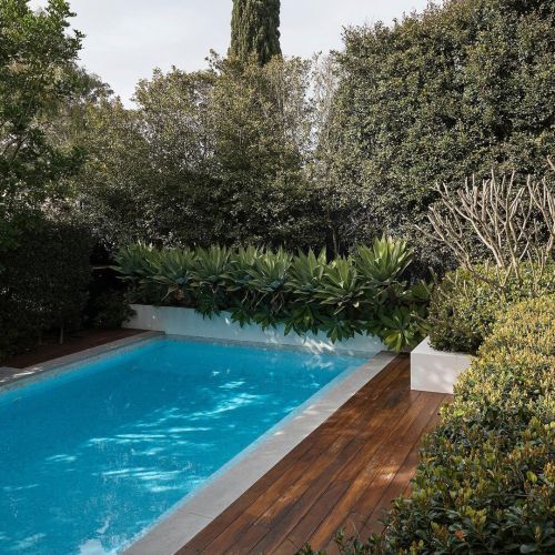 Pool and landscape by Think Outside Gardens. #pool #poolside#architecture #landscapearchitecture #la