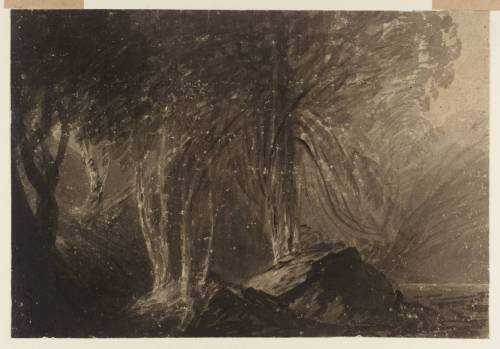 John Martin (British, 1789–1854), Trees, Graphite, watercolour and gum arabic on paper, 210 × 308 mm