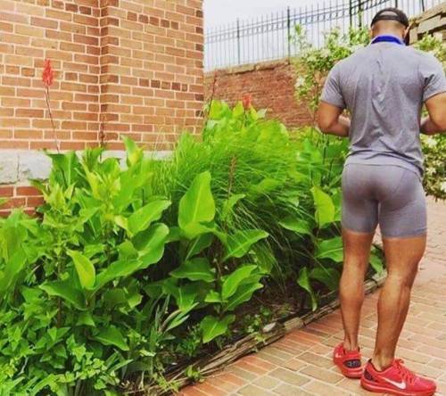 phatrabbitkiller:  athletic 🐰