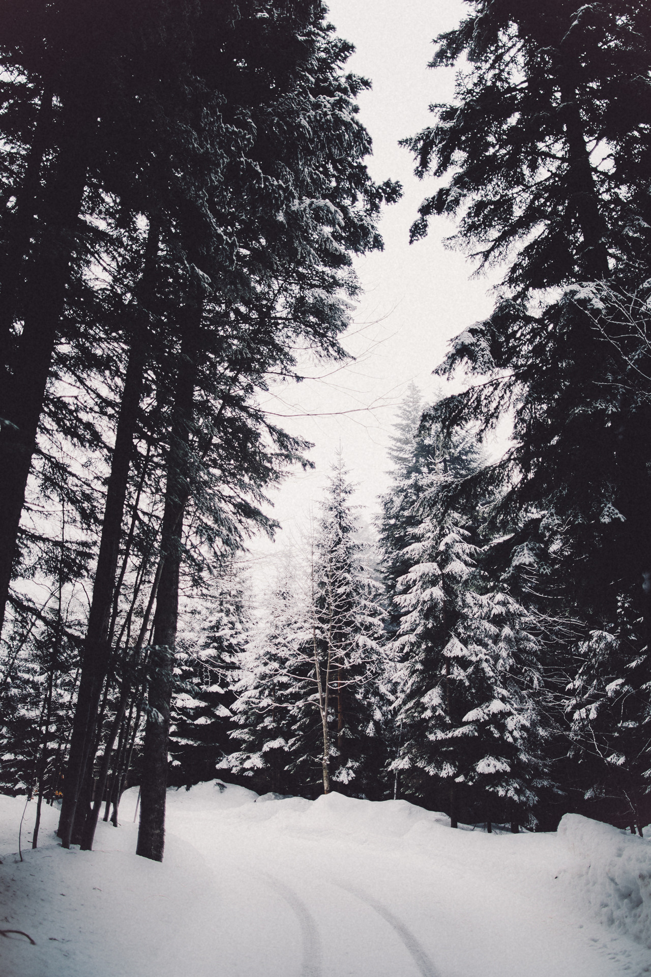 I look forward to coffee, adventures, and you.