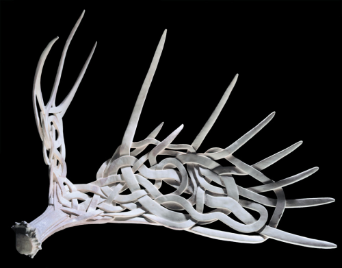 archiemcphee:  Canadian artist Shane Wilson transforms massive moose antlers into magnificent works of sculpture inspired by his natural surroundings in northern Ontario. Using ethically sourced antlers, horns, and skulls from native animals, Wilson pains