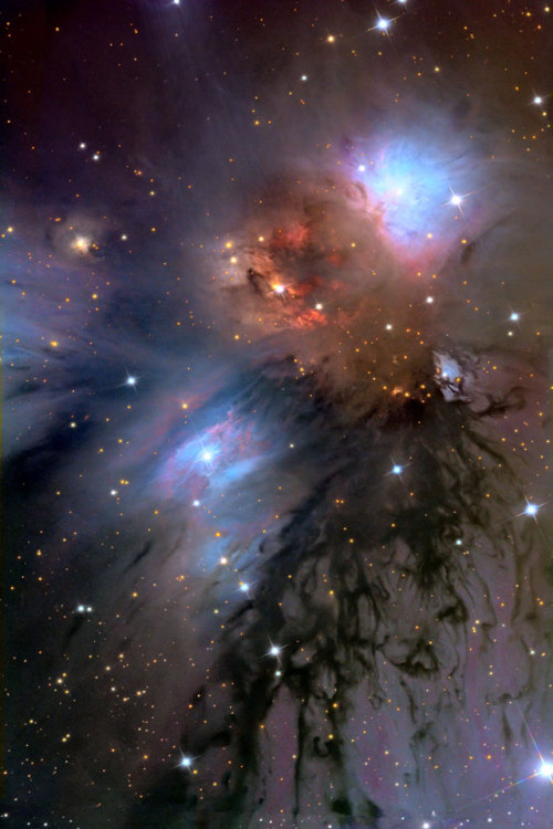atomstargazer: NGC 2170: Still Life with Reflecting Dust Image Credit &amp; Copyright: Adam Bloc