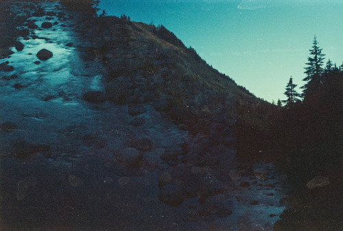 destroyingcameras:Natural HabitatNorth Bend, WA