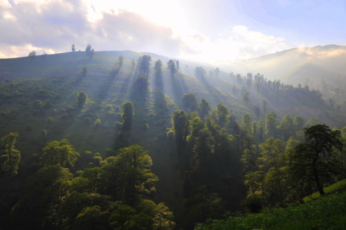 living-planet:Masal, Northern Iran by Hamed Saber [2128 x 1416]living-planet.tumblr.com/