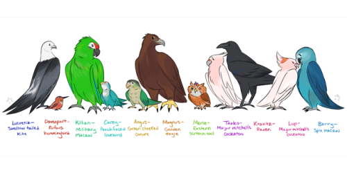 hiddeninmyhoodie: Maureen mighta seen 7 birds but I’m up to 11 lmao This drawing was based on 