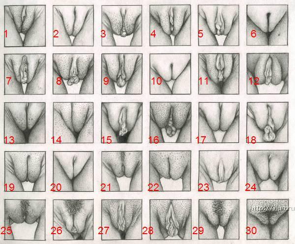 pussywow:  What kind is your favorite?  Everyone&hellip;