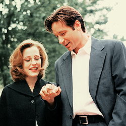 Danakaterine:  “For Me, The X-Files Has Always Been A Romance - An Intellectual