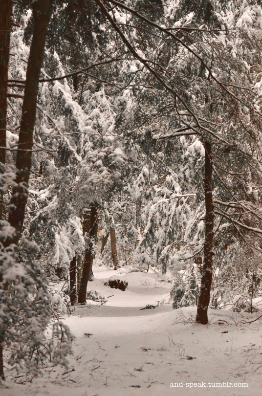 Seeking All The Trails Not Yet Taken, Making Fresh Tracks As The Snow Falls