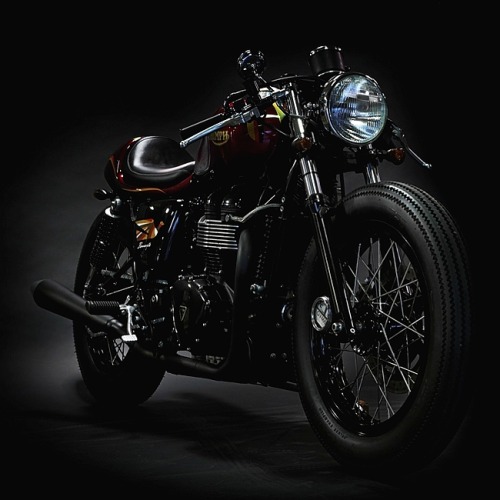 combustible-contraptions:  Triumph Cafe Racer | Bonneville | Cherry Red | Deus