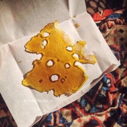 veeveeganja:  Mango Kush by @flynhighextracts