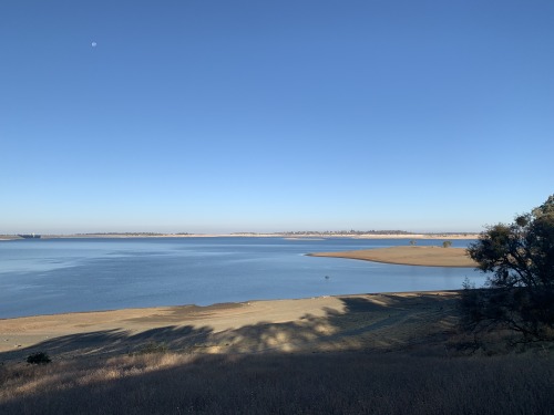 The middle of autumn in gold country is not necessarily very colorful in appearance. At Folsom Lake 