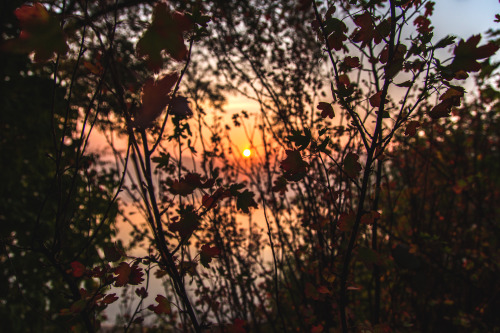 dennybitte:  refresh in october 2015 by Denny Bitte 
