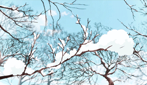 changing seasons 