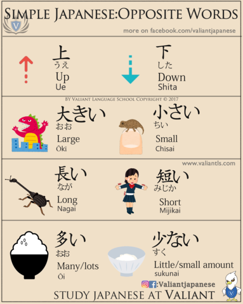 valiantschool: The Opposite Words in Japanese Follow us on www.instagram.com/valiantjapanese