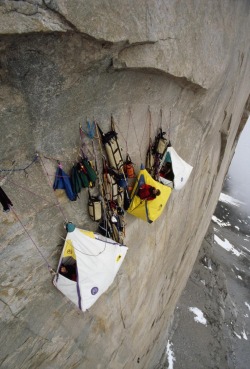sixpenceee:These campers are just hanging