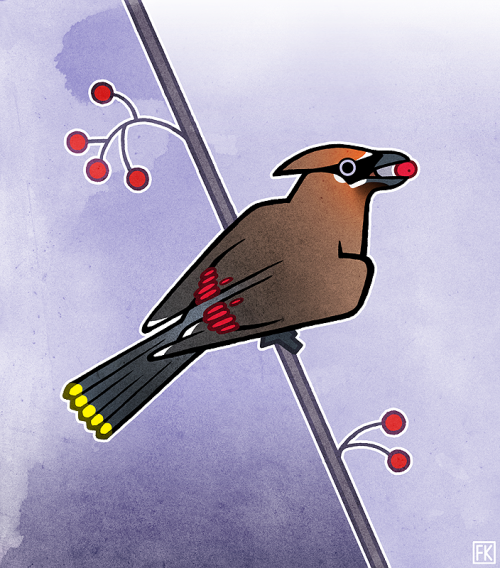 Commission of a Cedar Waxwing