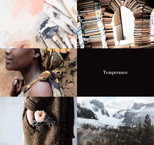 my-cat-said-no:ibuzoo:1000 Picspams Challenge | #506 - The Seven Heavenly Virtues@wearepaladin