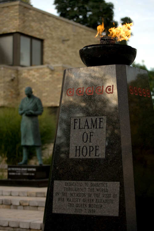 The Flame of Hope is an eternal flame that honors Sir Frederick Banting&rsquo;s discovery of ins