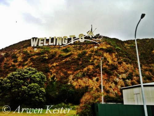 And so begins my photos of Wellington - aka THE HOBBIT PREMIERE!!! Not the prettiest of shots, but c