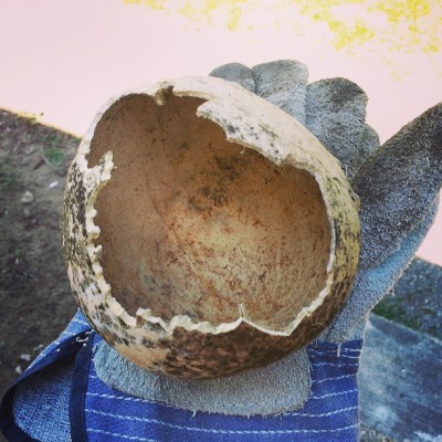 I think I just found a #dinosaur egg in my backyard… #IBreedRaptors #JurassicPark #GrandRapids (at The Bat-Cave)