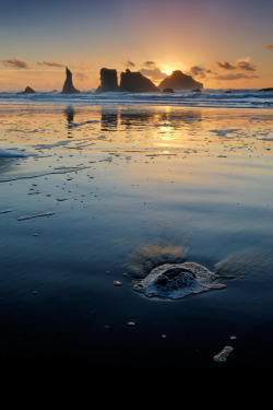 touchdisky:  Face Rock Beach, Bandon Oregon