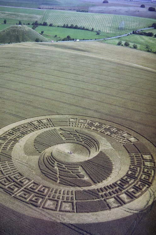age-of-awakening:  sola-may:Crop circles are positive messages from benevolent ET races.Watch a video on decoding them below, it will answer many questions.http://www.youtube.com/watch?v=N0k7C8saTOYMany blessings. NOOOO THEYRE ALL HUMAN MADE not hard