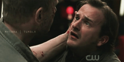 benedicted-cumberbatched:  brokenwingsxhealinggrace:  witness-protection-with-wings: