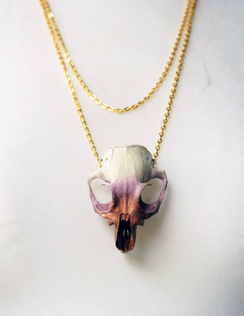 normalityavoided:  moshita:  real animal skull necklaces Virginia the Wolf 