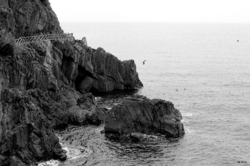 Caught in mid-air It took about 10 minutes until his friends down in the water succeeded in talking 