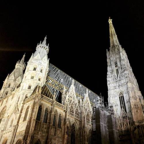 St. Stephen’s Cathedral at night during our first tour through Vienna. #ststephenscathedral #v