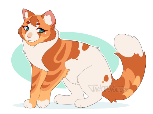 Another Clangen Cat (with Artistic Liberties On The Design To Spice It Up And Make It More Mine) And