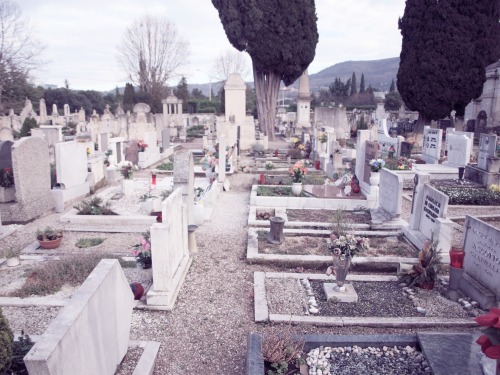 cherubin0: some pics i took in a cemetery in Izola, Slovenja.