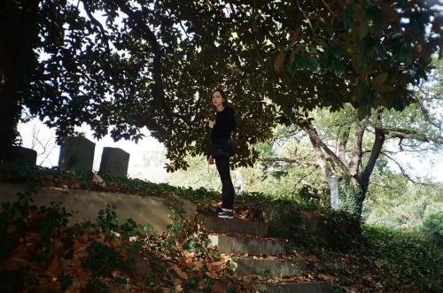 Hollywood Cemetery, Richmond.