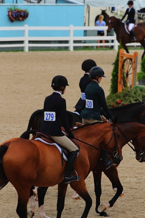 equestrianhunterjumper:  Devon 2015