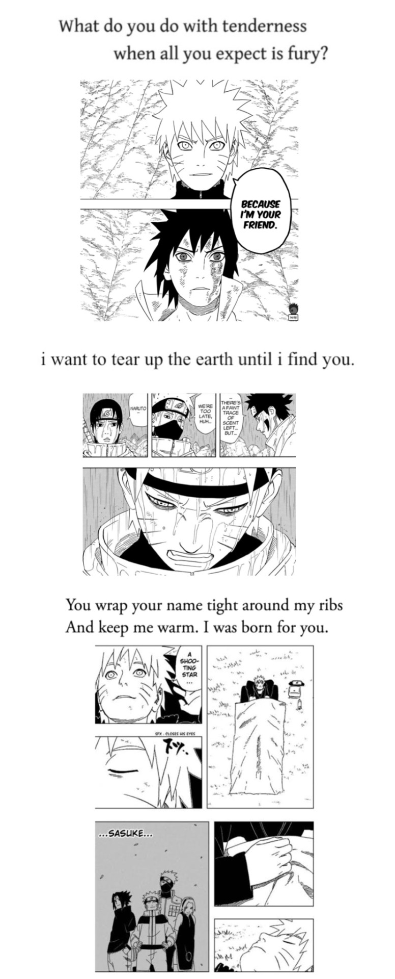 Sasuke & Naruto 