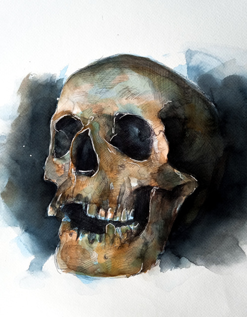 Watercolor Skulls By PanRafik