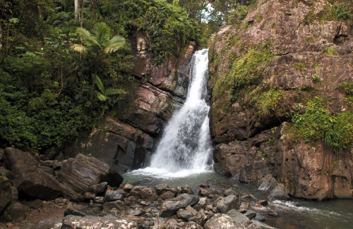 americanscenery:  El Yunque National Forest, Puerto Rico The only tropical rain forest in the United