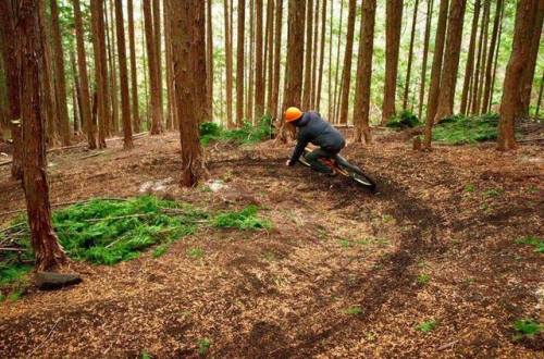 中央アルプスマウンテンバイクトレイル