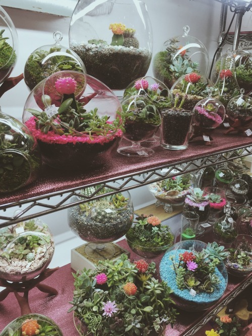 floralwaterwitch: gracreates: GOALS This is exactly what I want my little shop to look like. Some da