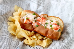 do-not-touch-my-food:  Lobster Roll