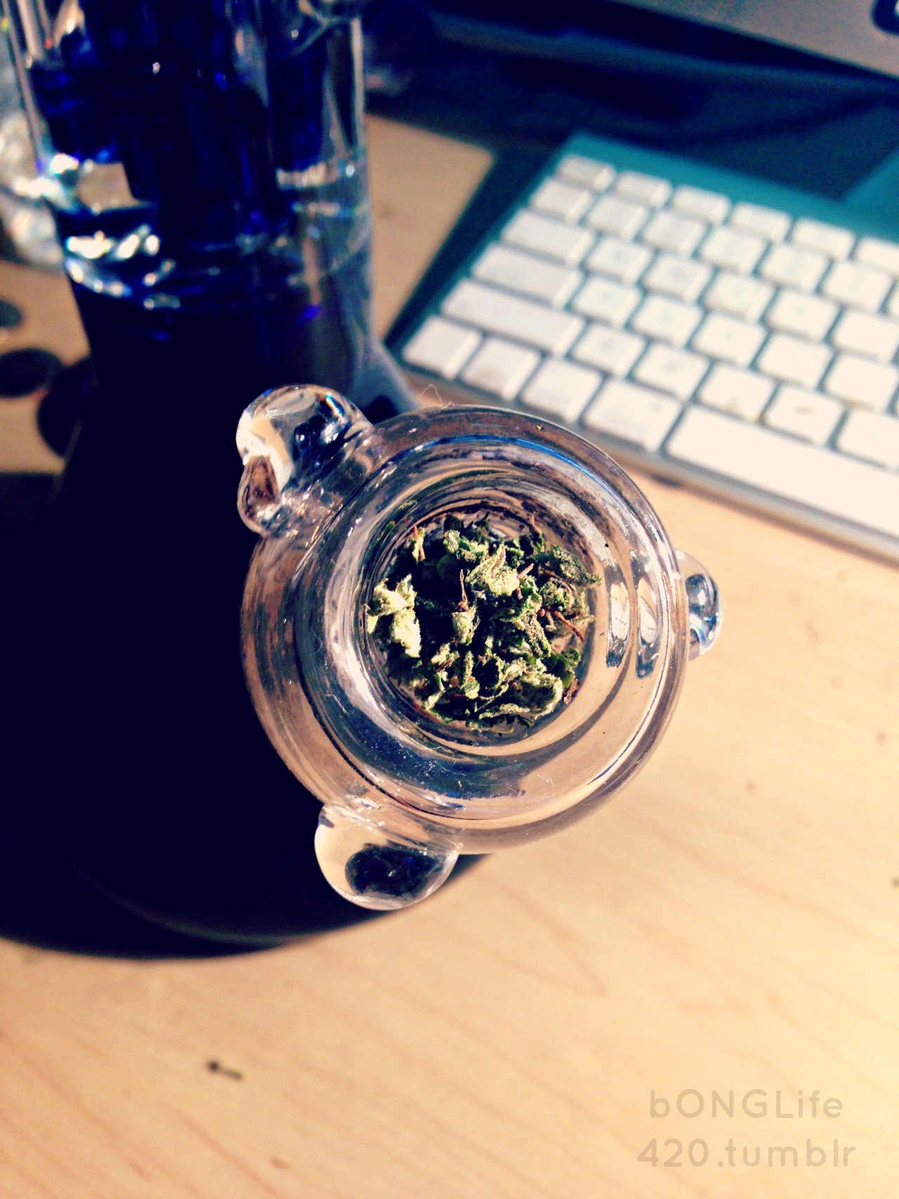 bonglife420:  Blue dream packed ✈️