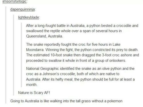Sex professional-llama:Is Australia even real pictures