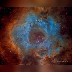When Roses Aren&rsquo;t Red #nasa #apod #rosettenebula #starformation #stars #gas #dust #hydrogen #halpha #sulfur #oxygen #nebula #constellation #monoceros #interstellar #milkyway #galaxy #space #science #astronomy