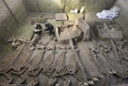sixpenceee:    Archaeologists in Luoyang, central China, unveiled a 2,500-year-old tomb they’ve been excavating since 2009.The tomb contained copper bells and ceremonial pots. It is the largest site of around 200 tombs in the area. There was also a