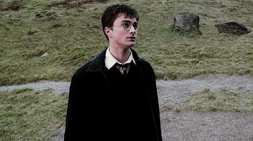 lestrangely:I’ve always admired your courage, Harry. But sometimes, you can be really thick. You don