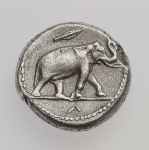 Stater of Kingdom of Syria with laureate head of Zeus (obverse) and elephant with spear above (rever